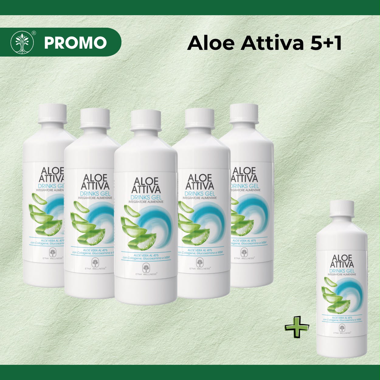 ALOE ATTIVA 5+1